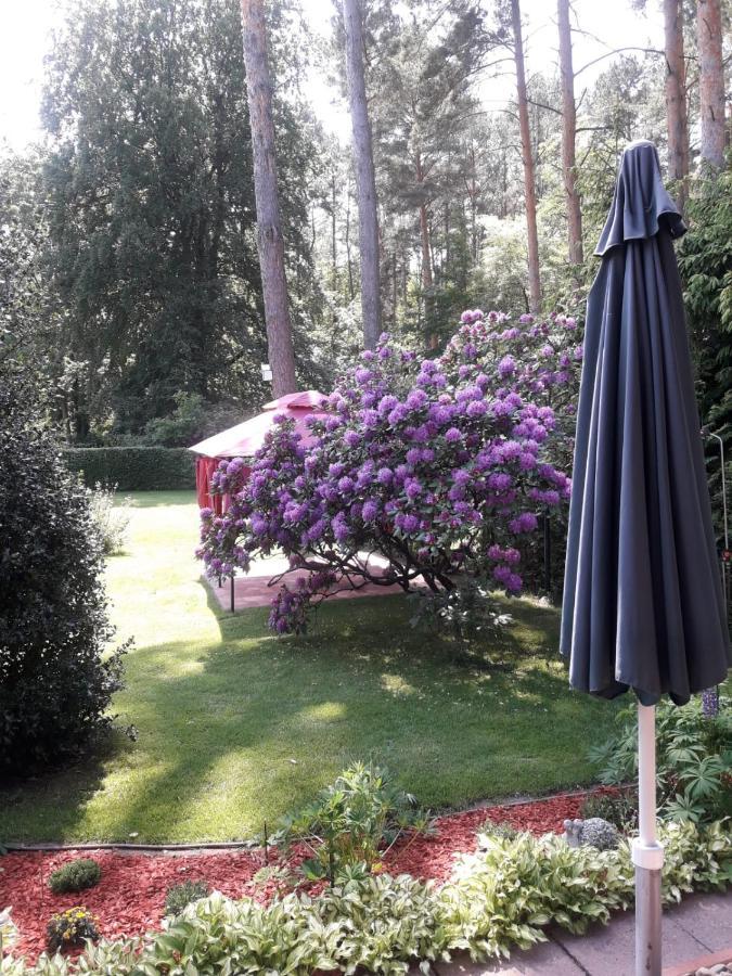 Ferienhaus Am Langen See Heidesee ภายนอก รูปภาพ